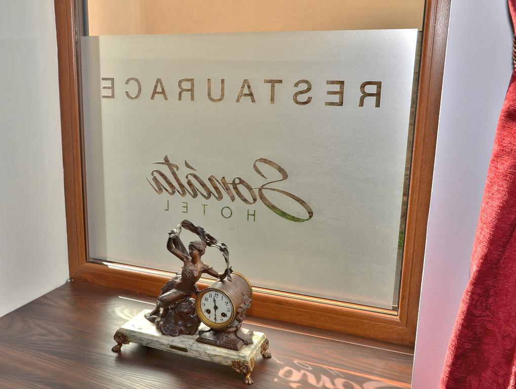Hotel Sonata Hradec nad Moravicí Extérieur photo